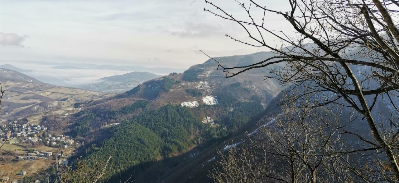 Granchalet Sul Cimone 103 Montecreto Dış mekan fotoğraf