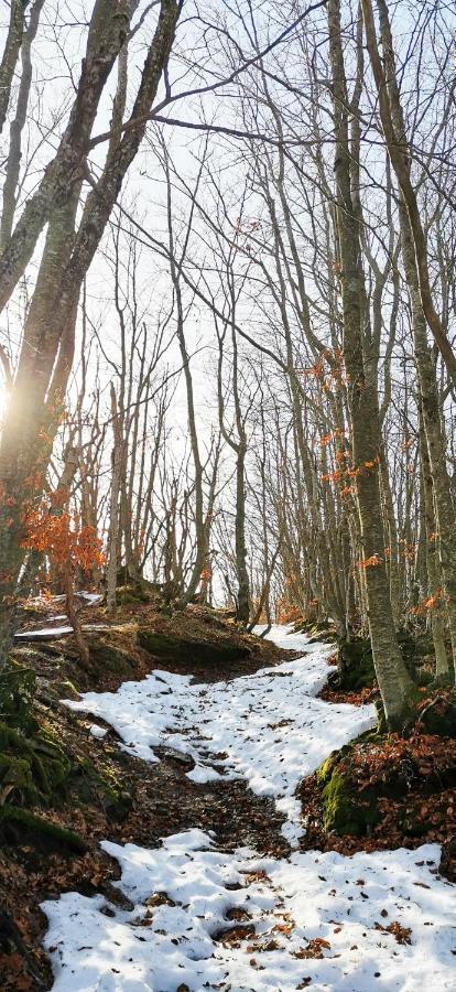 Granchalet Sul Cimone 103 Montecreto Dış mekan fotoğraf