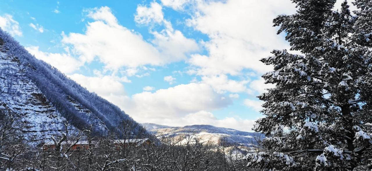Granchalet Sul Cimone 103 Montecreto Dış mekan fotoğraf
