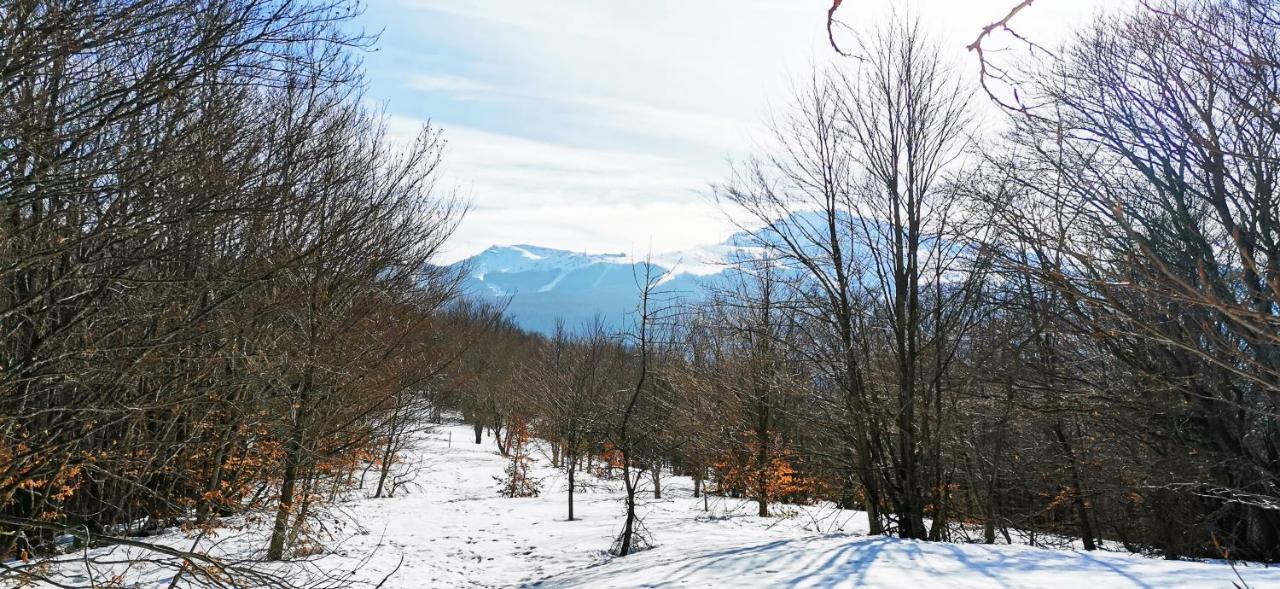 Granchalet Sul Cimone 103 Montecreto Dış mekan fotoğraf